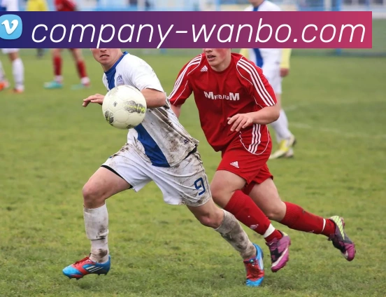 APP界面展示